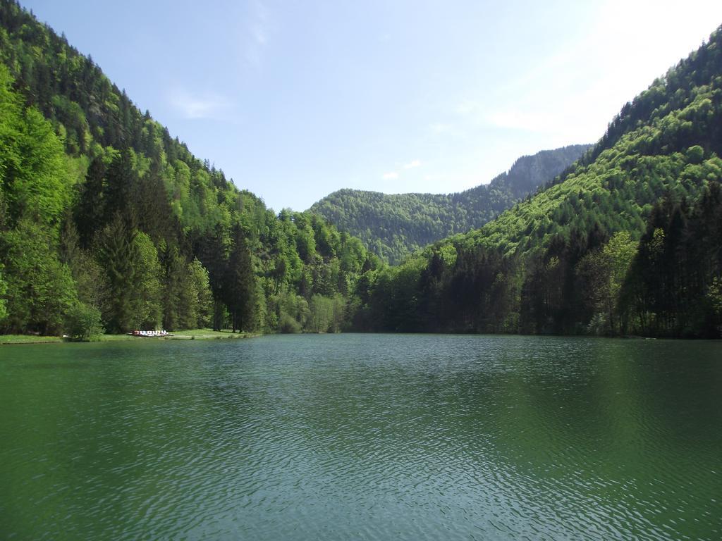 Ferienwohnung Am Roemerweg Wald Inzell Zewnętrze zdjęcie