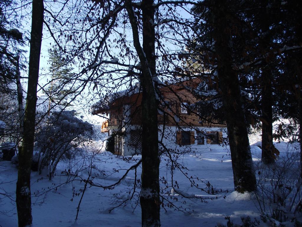 Ferienwohnung Am Roemerweg Wald Inzell Zewnętrze zdjęcie